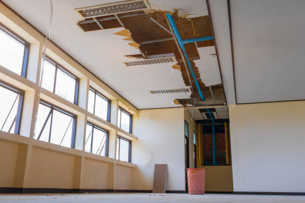 Best Water damage restoration near me  in Cheree, OK