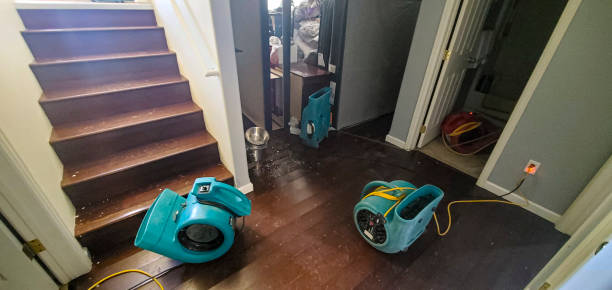 Best Local water damage restoration  in Cheree, OK
