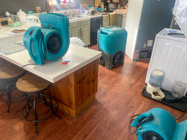 Best Emergency water damage restoration  in Cheree, OK
