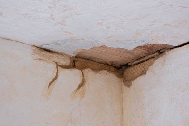 Best Basement water damage restoration  in Cheree, OK