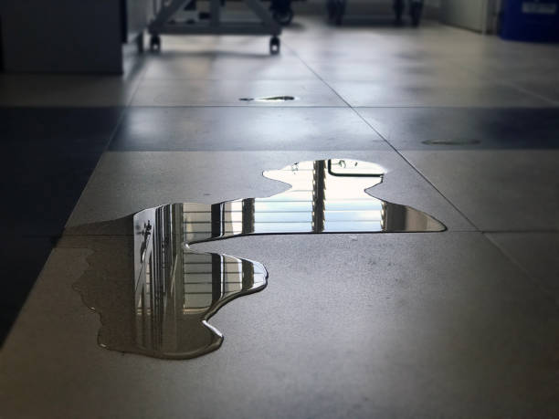 Best Carpet water damage restoration  in Cheree, OK