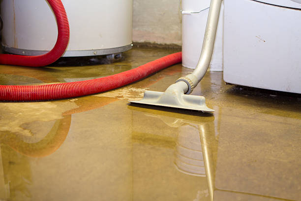 Best Flooded house restoration  in Cheree, OK