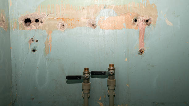 Best Water damage contractors near me  in Cheree, OK