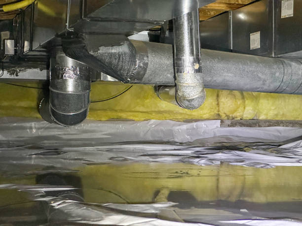 Best Ceiling water damage repair  in Cheree, OK