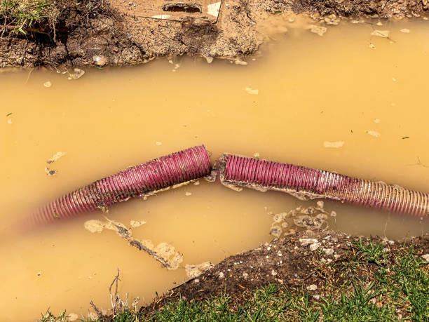 Best Commercial water damage restoration  in Cheree, OK